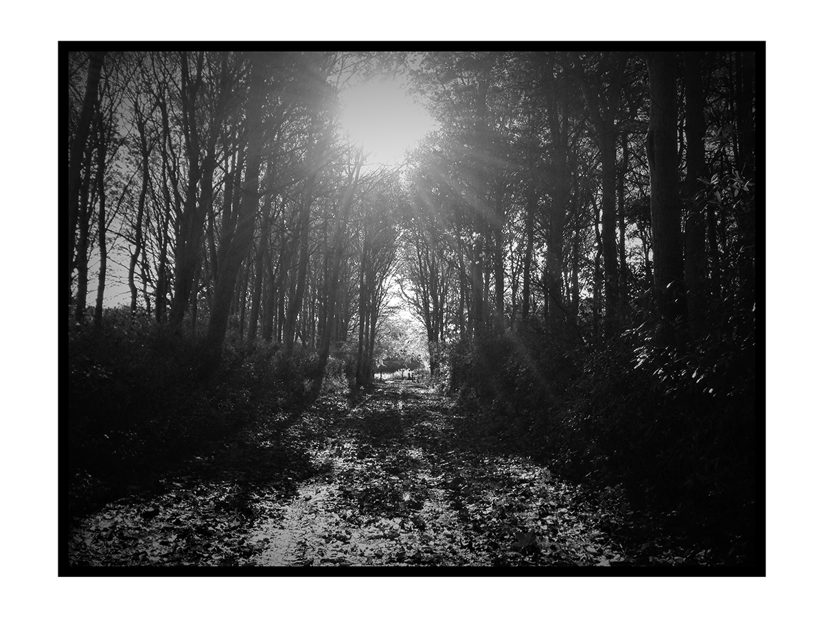 Black and white scottish path